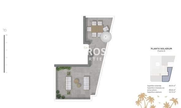 Nouvelle Construction - Penthouse  - Guardamar del Segura - Pueblo