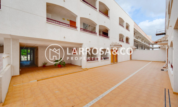 Nouvelle Construction - Apartment - San Fulgencio - Pueblo