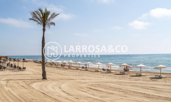 Nieuwbouw Woningen - Apartment - Guardamar del Segura - Pueblo