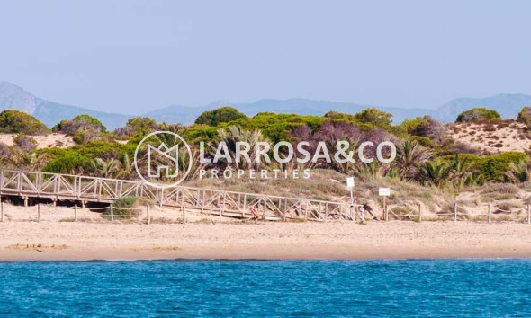 Nieuwbouw Woningen - Apartment - Guardamar del Segura - Pueblo