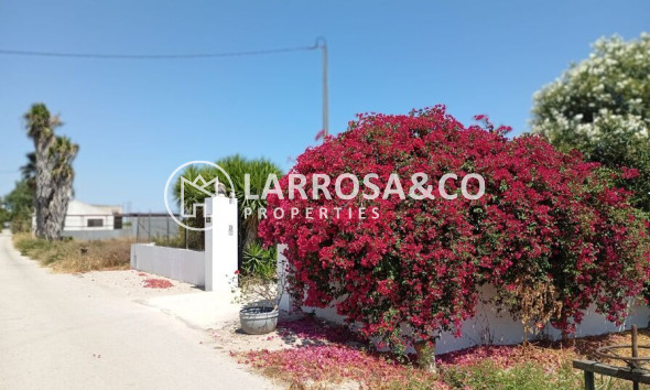 A Vendre - Country house - Daya Nueva - Costa Blanca