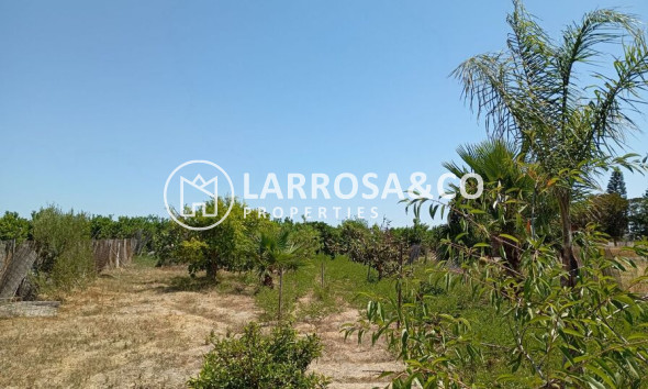 A Vendre - Country house - Daya Nueva - Costa Blanca