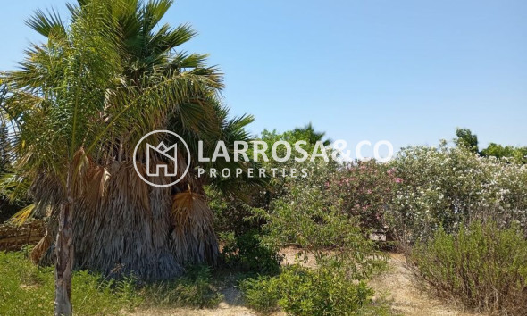 A Vendre - Country house - Daya Nueva - Costa Blanca