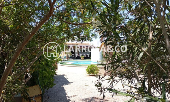 A Vendre - Country house - Daya Nueva - Costa Blanca