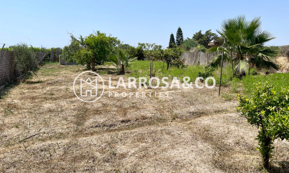 A Vendre - Villa - Daya Nueva - Costa Blanca