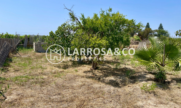 A Vendre - Villa - Daya Nueva - Costa Blanca