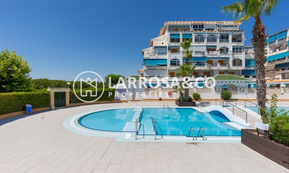 Herverkoop - Apartment - La Mata - Costa Blanca