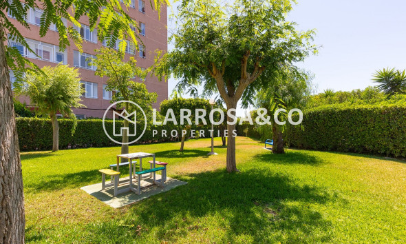 Herverkoop - Apartment - La Mata - Costa Blanca