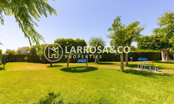Herverkoop - Apartment - La Mata - Costa Blanca