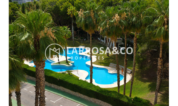 Herverkoop - Apartment - Orihuela costa - Campoamor
