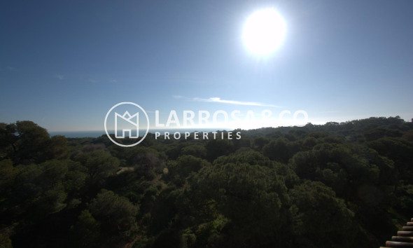 New build - Penthouse  - Guardamar del Segura - Pueblo