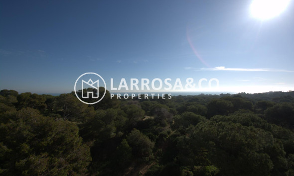 New build - Penthouse  - Guardamar del Segura - Pueblo