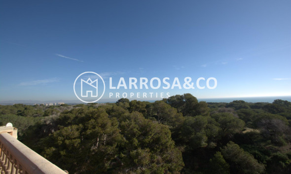 New build - Penthouse  - Guardamar del Segura - Pueblo