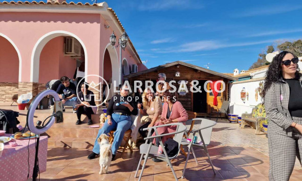 Resale - Detached House/Villa - Cabo Roig - Costa blanca