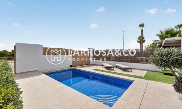 Resale - Detached House/Villa - Guardamar del Segura - El Raso