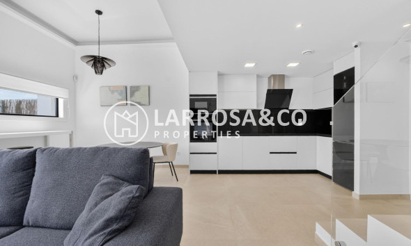 Resale - Detached House/Villa - Guardamar del Segura - El Raso