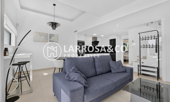Resale - Detached House/Villa - Guardamar del Segura - El Raso