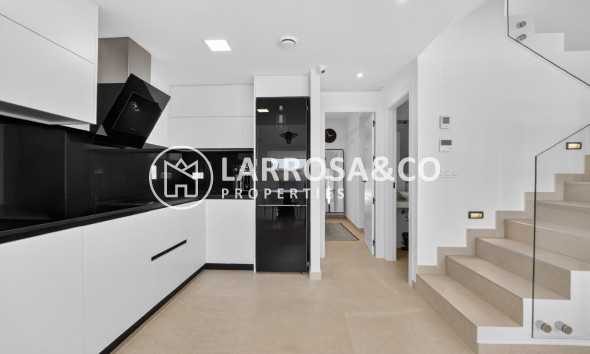 Resale - Detached House/Villa - Guardamar del Segura - El Raso