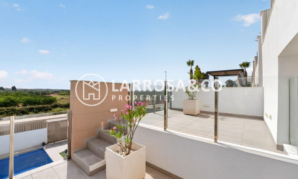 Resale - Detached House/Villa - Guardamar del Segura - El Raso