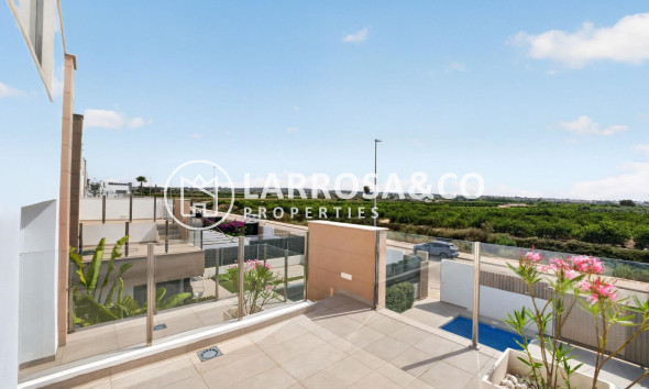 Resale - Detached House/Villa - Guardamar del Segura - El Raso
