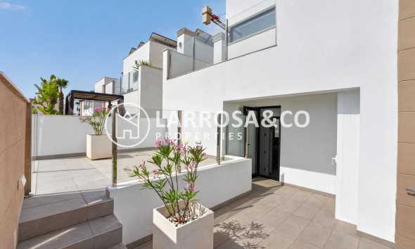 Resale - Detached House/Villa - Guardamar del Segura - El Raso