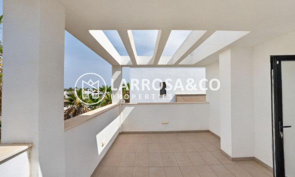 Resale - Detached House/Villa - Guardamar del Segura - El Raso