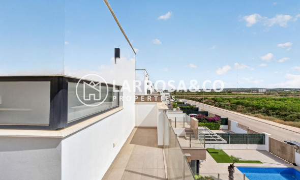 Resale - Detached House/Villa - Guardamar del Segura - El Raso