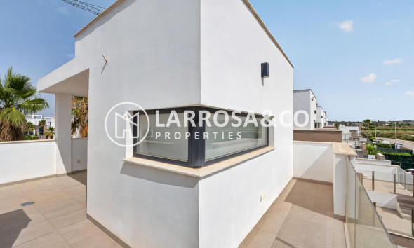 Resale - Detached House/Villa - Guardamar del Segura - El Raso