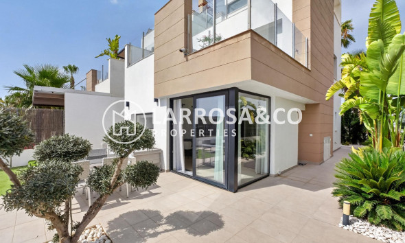 Resale - Detached House/Villa - Guardamar del Segura - El Raso
