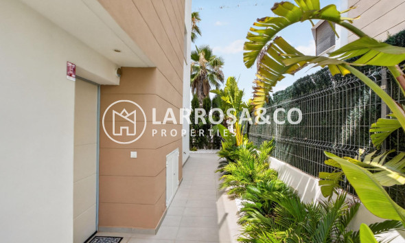 Resale - Detached House/Villa - Guardamar del Segura - El Raso