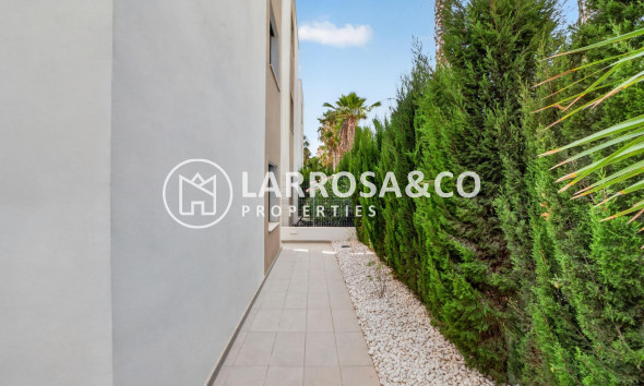 Resale - Detached House/Villa - Guardamar del Segura - El Raso