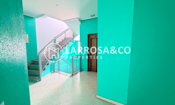 Resale - Apartment - Los Montesinos - Costa Blanca