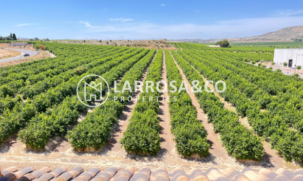 Resale - Apartment - Algorfa - Inland