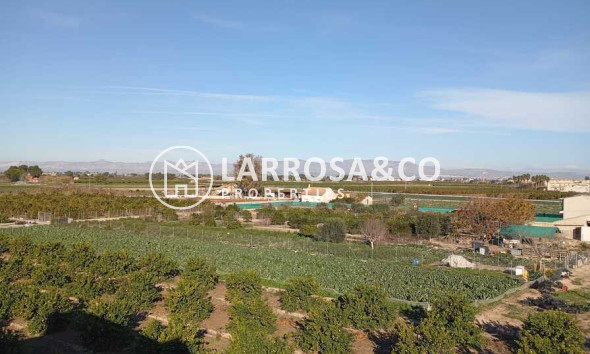 A Vendre - Apartment - Daya Nueva - Costa Blanca