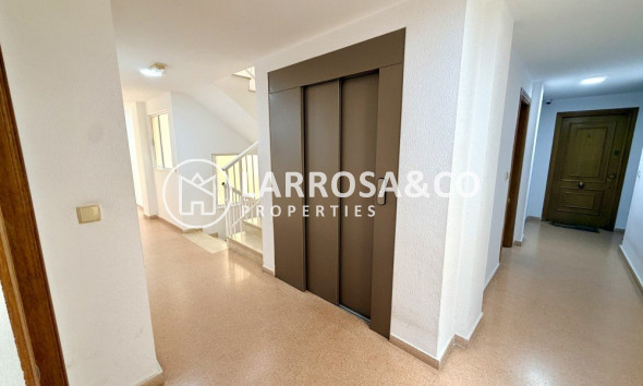 Resale - Apartment - Guardamar del Segura - Costa Blanca