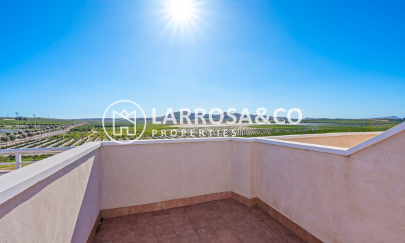 Resale - Apartment - Algorfa - Inland