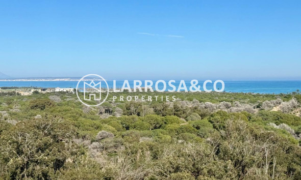Resale - Apartment - Guardamar del Segura - Puerto