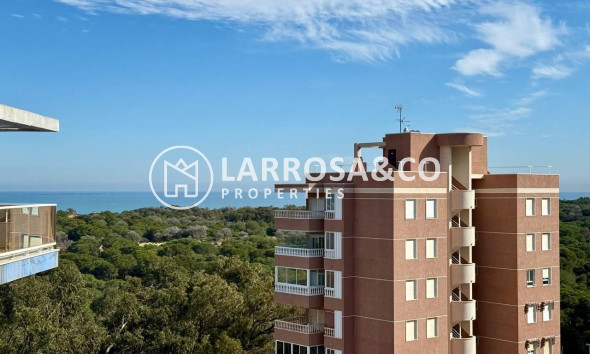 Resale - Apartment - Guardamar del Segura - Puerto