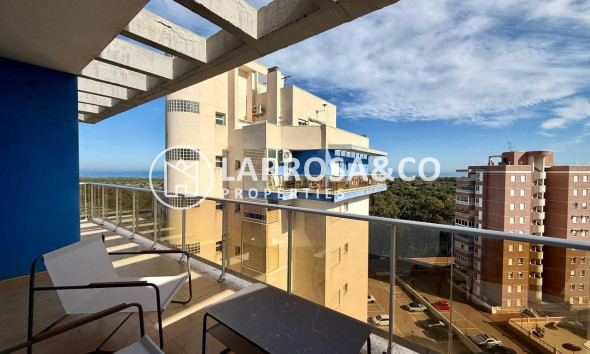 Resale - Apartment - Guardamar del Segura - Puerto