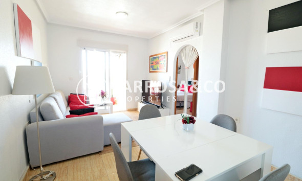 Reventa - Atico - Formentera del Segura - Pueblo 5