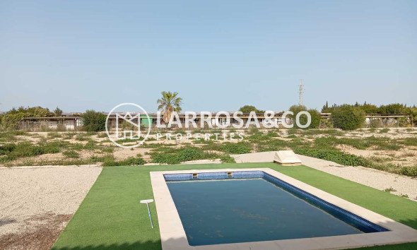Resale - Detached House/Villa - San Miguel de Salinas - Inland