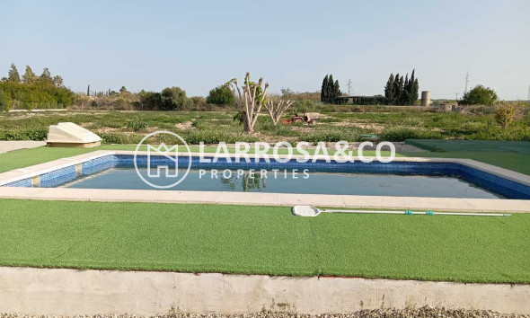 Resale - Detached House/Villa - San Miguel de Salinas - Inland