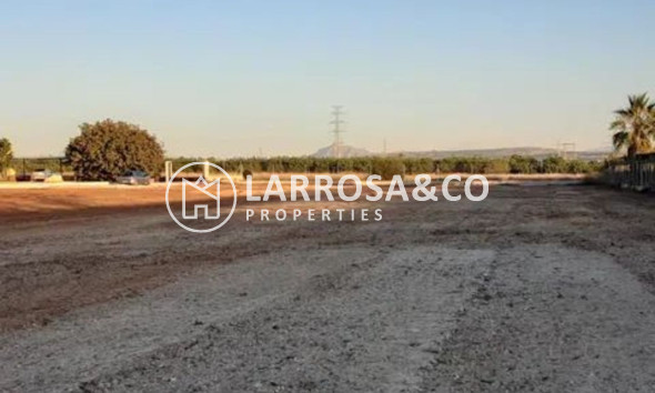Resale - Detached House/Villa - San Miguel de Salinas - Inland