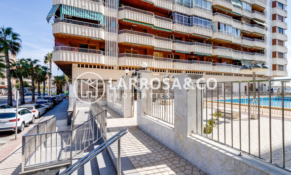 Herverkoop - Apartment - Torrevieja - Playa del Acequión