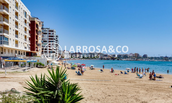 Herverkoop - Apartment - Torrevieja - Playa del Acequión
