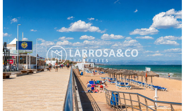 Herverkoop - Bungalow - Torrevieja - Aguas Nuevas