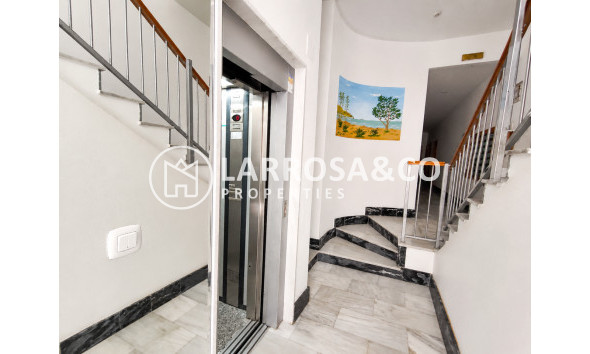 Resale - Apartment - Guardamar del Segura - Costa Blanca