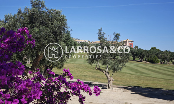Reventa - Chalet - Algorfa - Inland