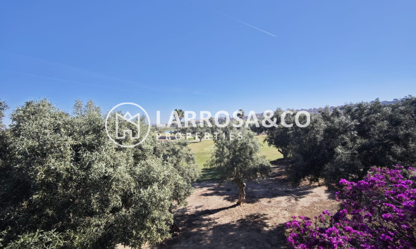 Reventa - Chalet - Algorfa - Inland