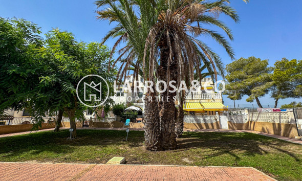 Resale - Bungalow - San Miguel de Salinas - Inland